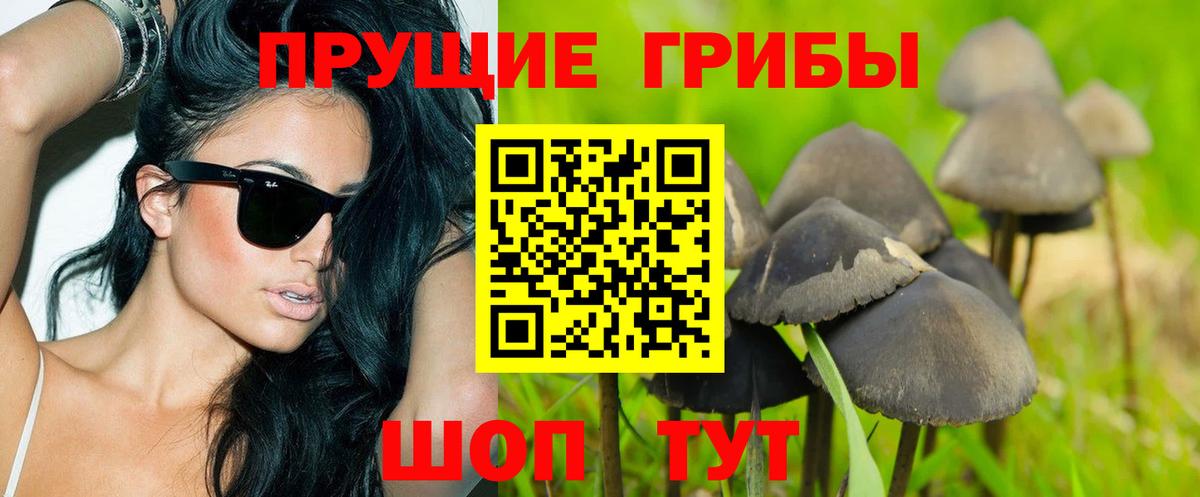 Галлюциногенные грибы ЛСД  Вход с VPN  Качканар 