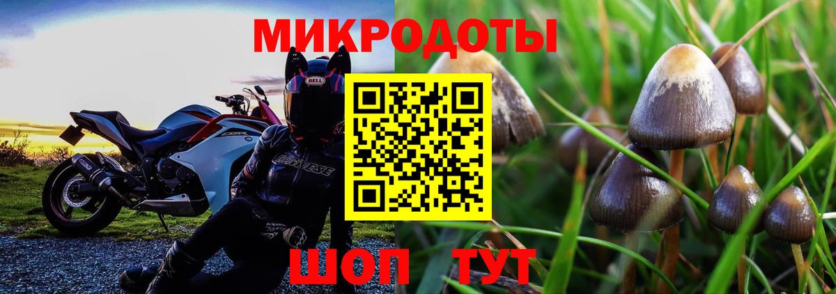 Псилоцибиновые грибы GOLDEN TEACHER Качканар